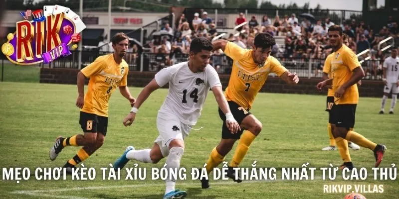 Mẹo chơi kèo tài xỉu bóng đá dễ thắng nhất từ cao thủ